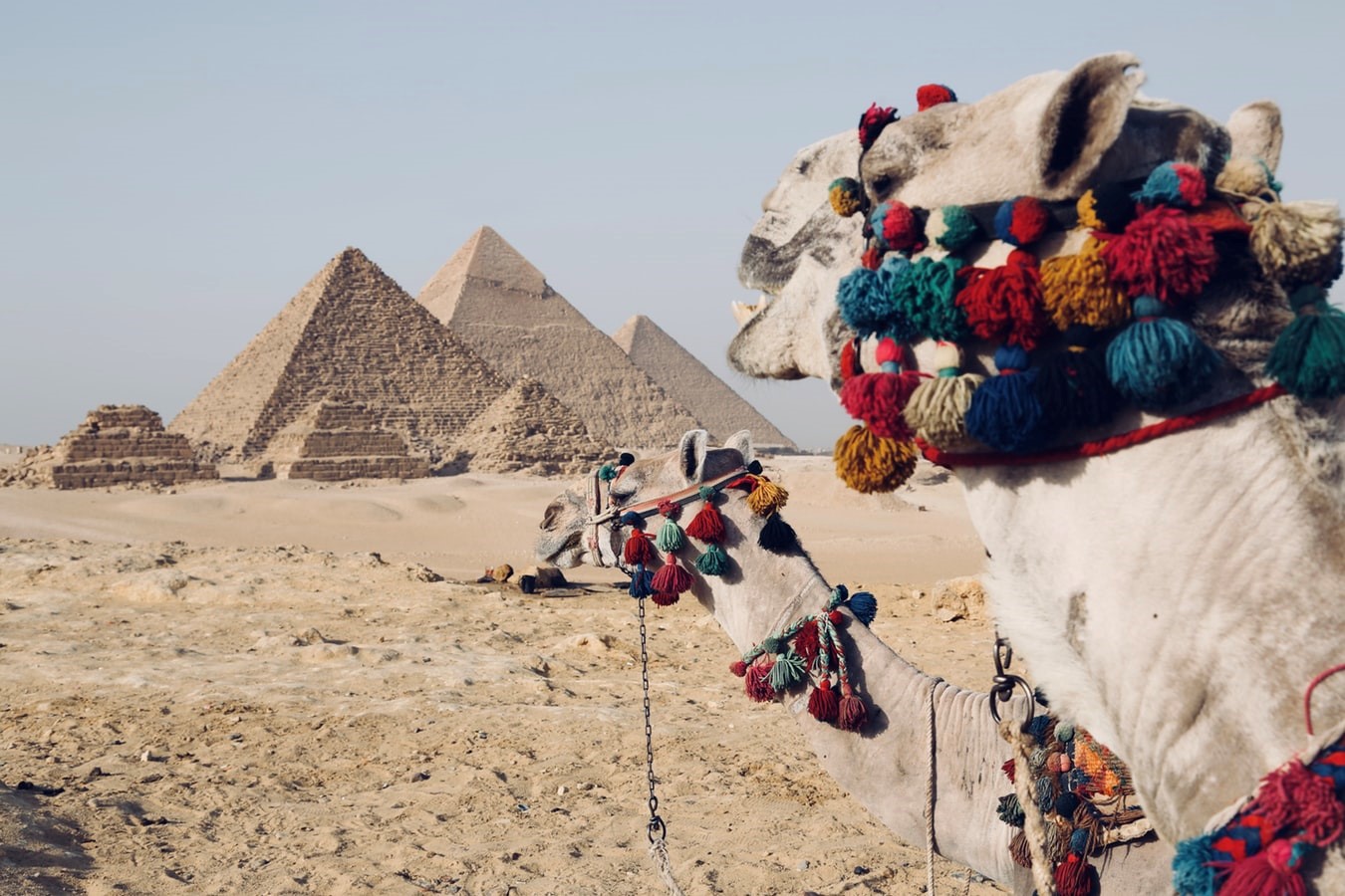 Коли краще відвідати Єгипет?
