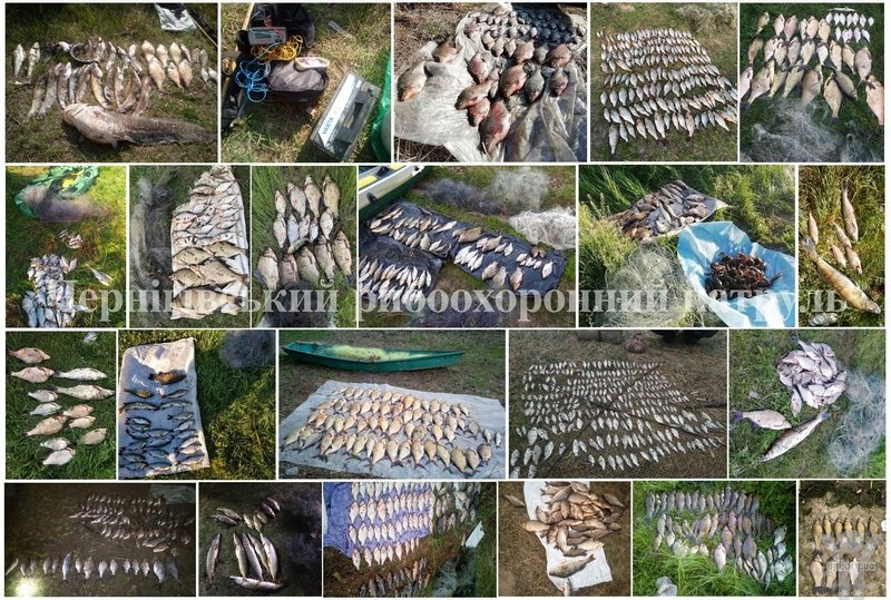На Чернігівщині під час нересту у браконьєрів вилучено 958 кг незаконно добутої риби та понад 16 км сіток