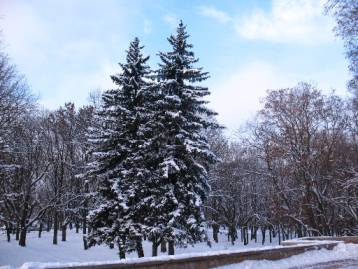 Прогноз погоди в Україні на новорічні свята