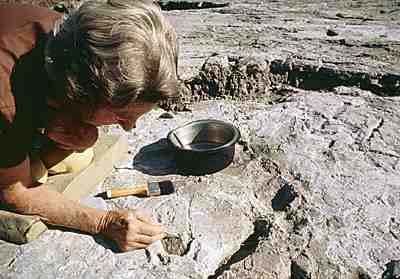 Очевидно, волинська археологія кане в Лету