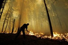 У Росії знову вирують масштабні лісові пожежі. ВІДЕО
