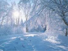 Прогноз погоди в Україні на 1 грудня