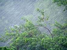 Синоптики 11 червня обіцяють дощі й грози