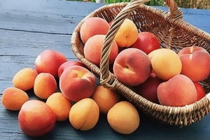 10 причин полюбити персики