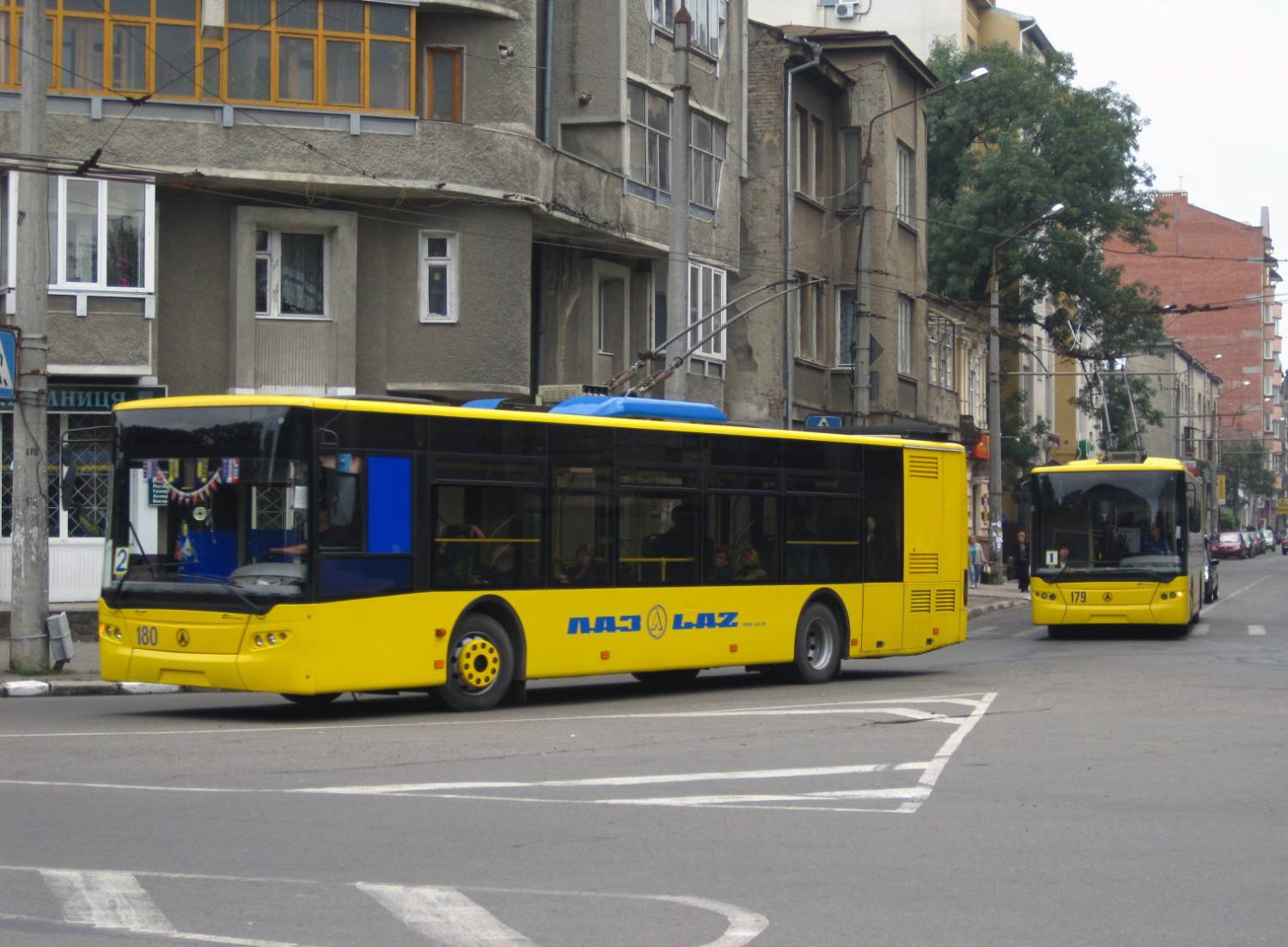 На День Незалежності мешканці Івано-Франківська їздитимуть у громадському транспорті безкоштовно