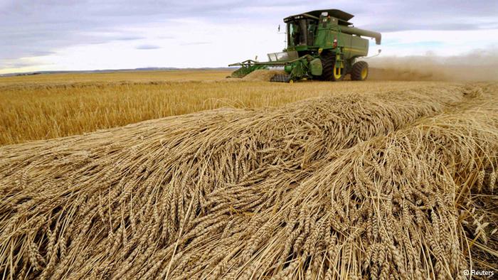 Спільний зерновий пул з Росією: вигідний, але кому?