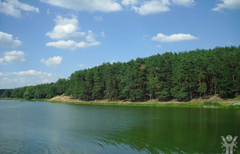 Громадська рада розгляне питання створення «Регіонального ландшафтного парку «Ялівщина» Чернігівської облради