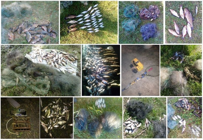 Чернігівський рибоохоронний патруль за червень викрив 113 порушень правил рибальства
