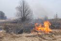 Донецькі аграрії власноруч спалюють зерновий врожай