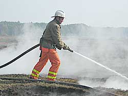 На Луганщині вогонь знищив 250 гектарів заповідного степу