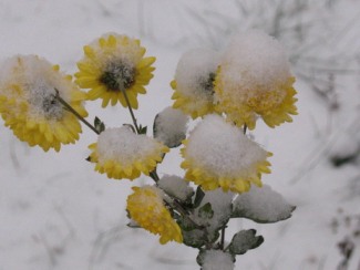 Прогноз погоди в Україні на 6 грудня