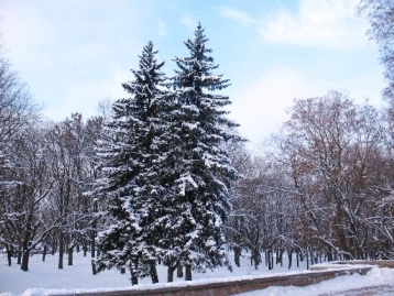 Прогноз погоди на 4 січня: в Україну йдуть сильні морози