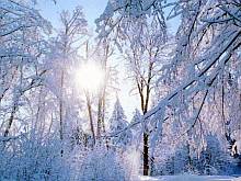 Прогноз погоди в Україні на вівторок, 2 лютого: морози повертаються