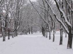 Прогноз погоди в Україні на 12 лютого: синоптики передбачають мокрий сніг, ожеледь