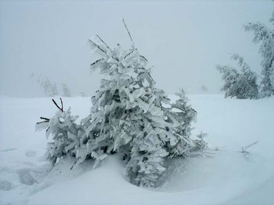 Прогноз погоди на 26 лютого: На Україну спустився туман