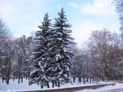 Прогноз погоди в Україні на останній день зими - 28 лютого