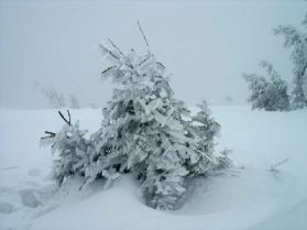 Прогноз погоди в Україні на 12 березня: хмарно, мокрий сніг