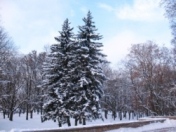 Прогноз погоди в Україні на 9 березня