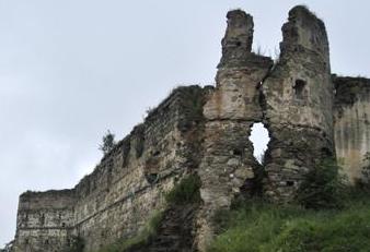 На Івано-Франківщині через повінь обвалився старовинний Пнівський замок. Фото