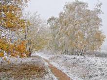 Прогноз погоди в Україні на 27 листопада