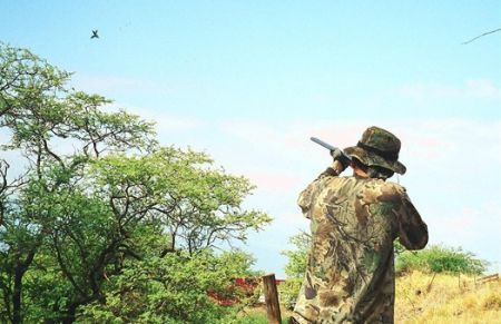 Екологи закликають Верховну Раду не ухвалювати законопроект про полювання в заповідниках