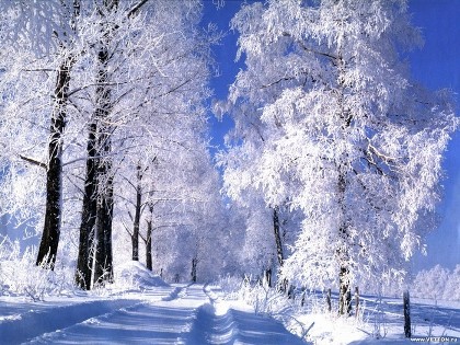 Прогноз погоди в Україні на 14 грудня