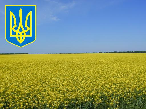 На Чернігівщині буде створено громадський оргкомітет з відзначення 20-ї річниці незалежності України