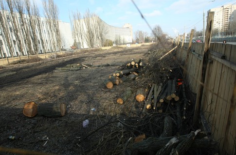 У сквері Києва незаконно вирубали 89 дерев