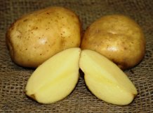 На 1 травня у Донецьку продавали молоду картоплю по 50 грн за кілограм