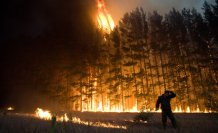 Київ оголосили зоною надзвичайної пожежної небезпеки