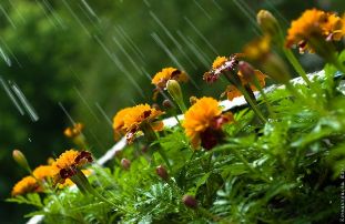 З 12 червня в Україні очікується погіршення погоди, шквальний вітер, сильні зливи, грози та град