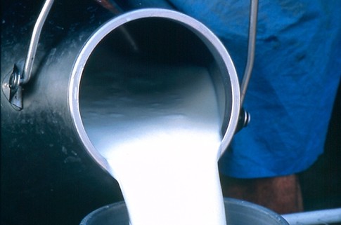 За 9 місяців 2011 року Чернігівщина стала ще біднішою: людям не до молока