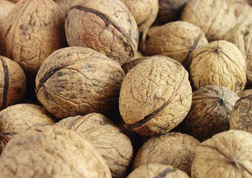 Вживання волоських горіхів може допомогти запобігти хворобам і знизити рівень холестерину!