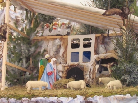 У Тернополі встановили найбільший різдвяний вертеп. Відео