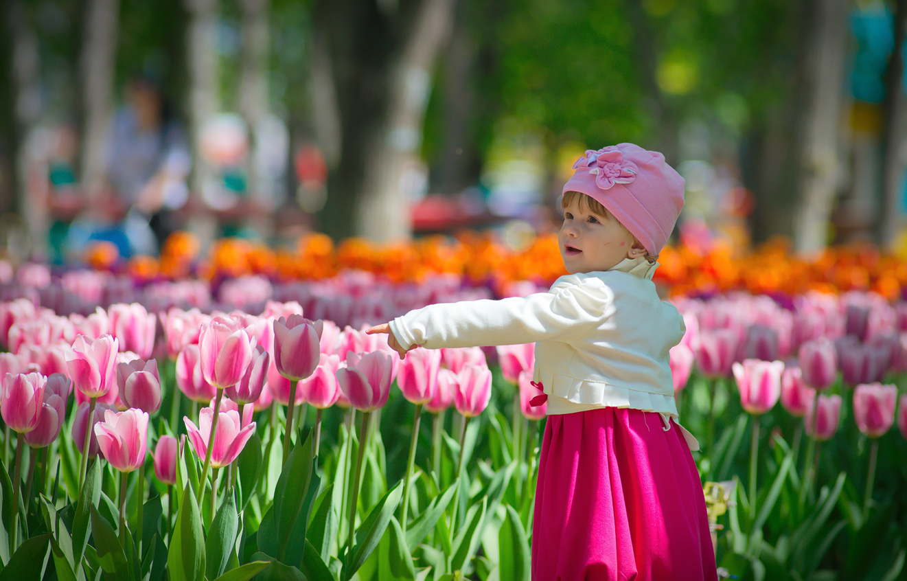 У Кіровограді масово розпускаються красиві тюльпани. Фото