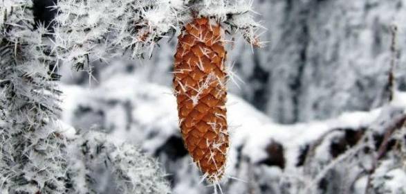 25-26 січня в Україні очікується пониження температури