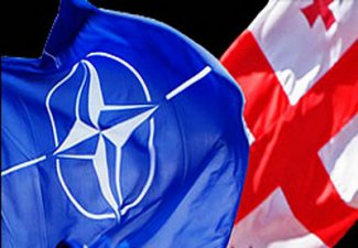 Якщо Росія анексує Крим, Грузію приймуть до НАТО