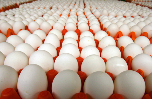 Знизити ціни на яйця вимагає Антимонопольний комітет