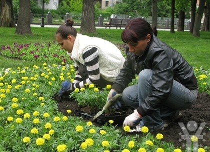 Композицію із живих квітів у вигляді портрета Тараса Шевченка висадили у Харкові. Відео