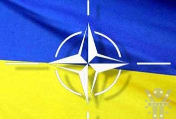 НАТО вітає рішення про продовження перемир'я в Україні