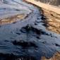 Екологи закликають уряд приділяти більшу увагу проблемі забруднення Чорного моря