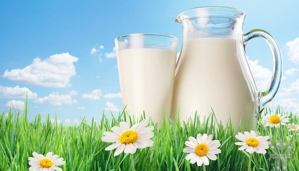 Росія забороняє ввезення української молочної продукції