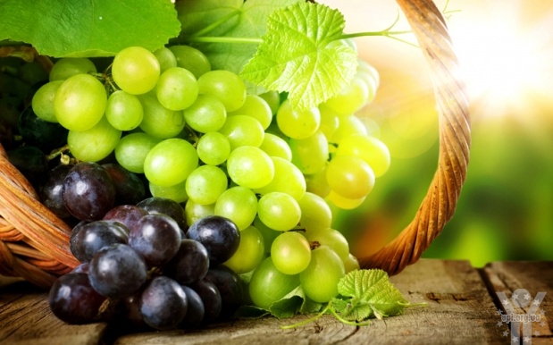 Головні секрети винограду: цілющі властивості, як купувати і зберігати