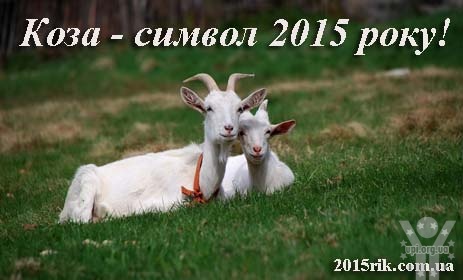 2015 рік Кози якого кольору?