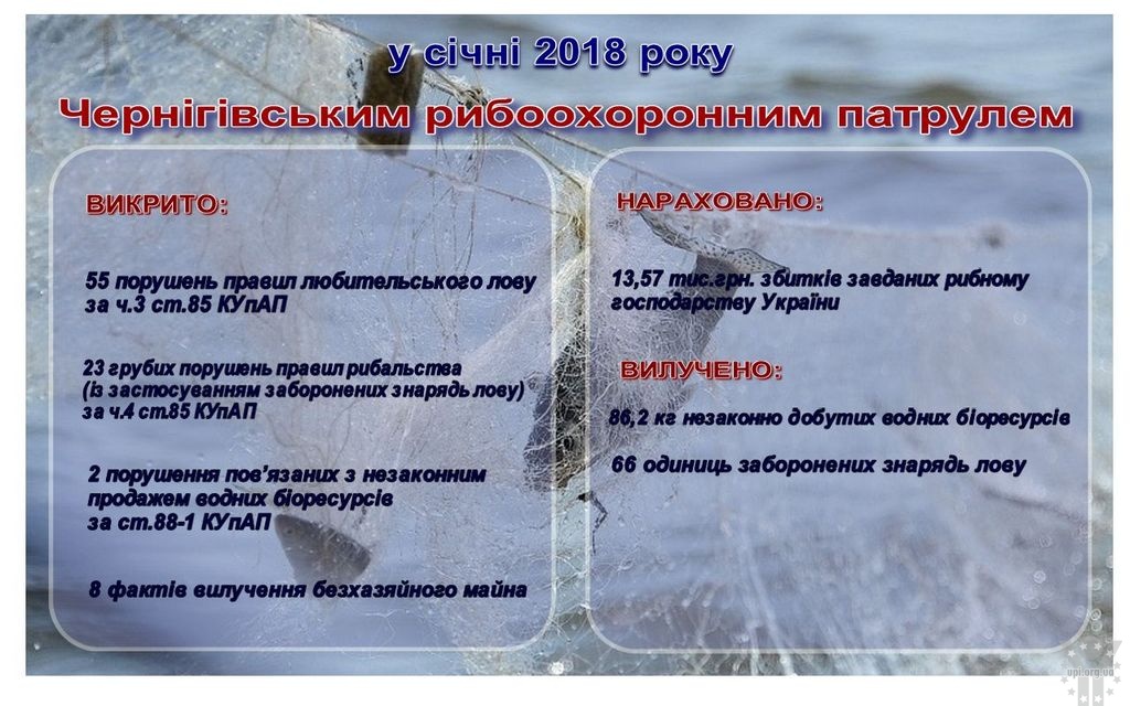 У січні Чернігівський рибоохоронний патруль виявив 88 порушень