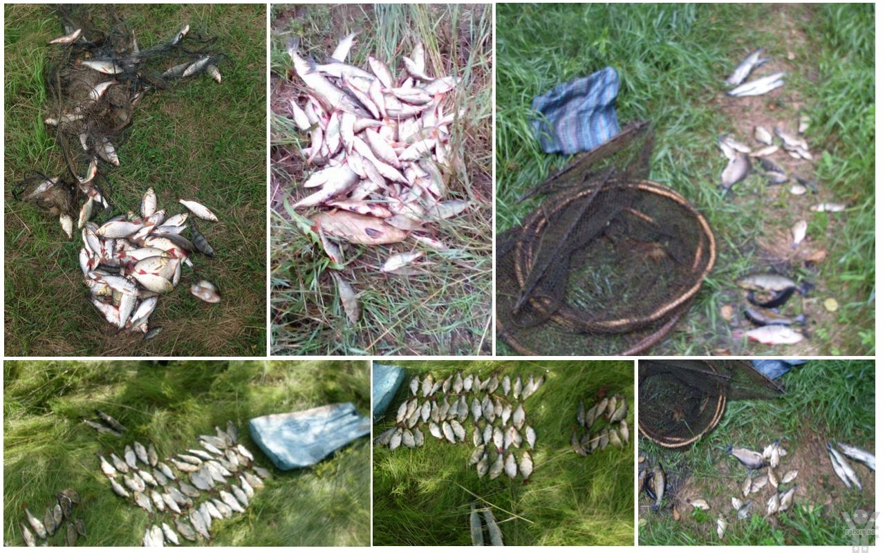 На Чернігівщині викрито 44 порушення правил рибальства