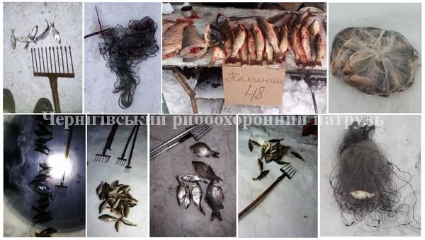 На Чернігівщині за лютий порушники завдали майже 25 тис. грн збитків рибному господарству