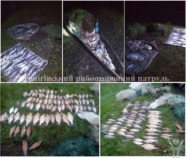 Два кримінальні правопорушення викрито Чернігівським рибоохоронним патрулем за один день