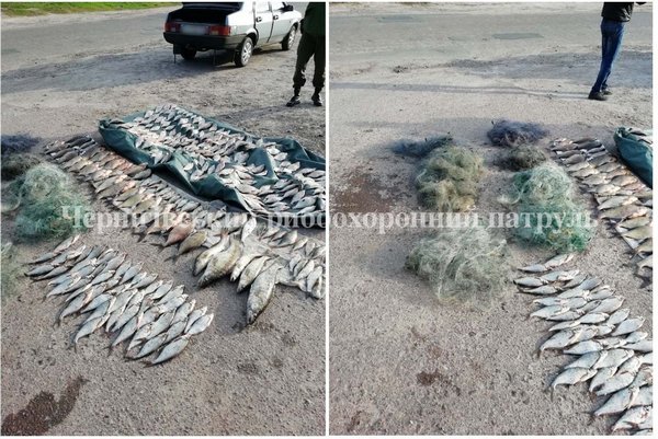 Чернігівським рибоохоронним патрулем викрито порушників із 54 кг риби