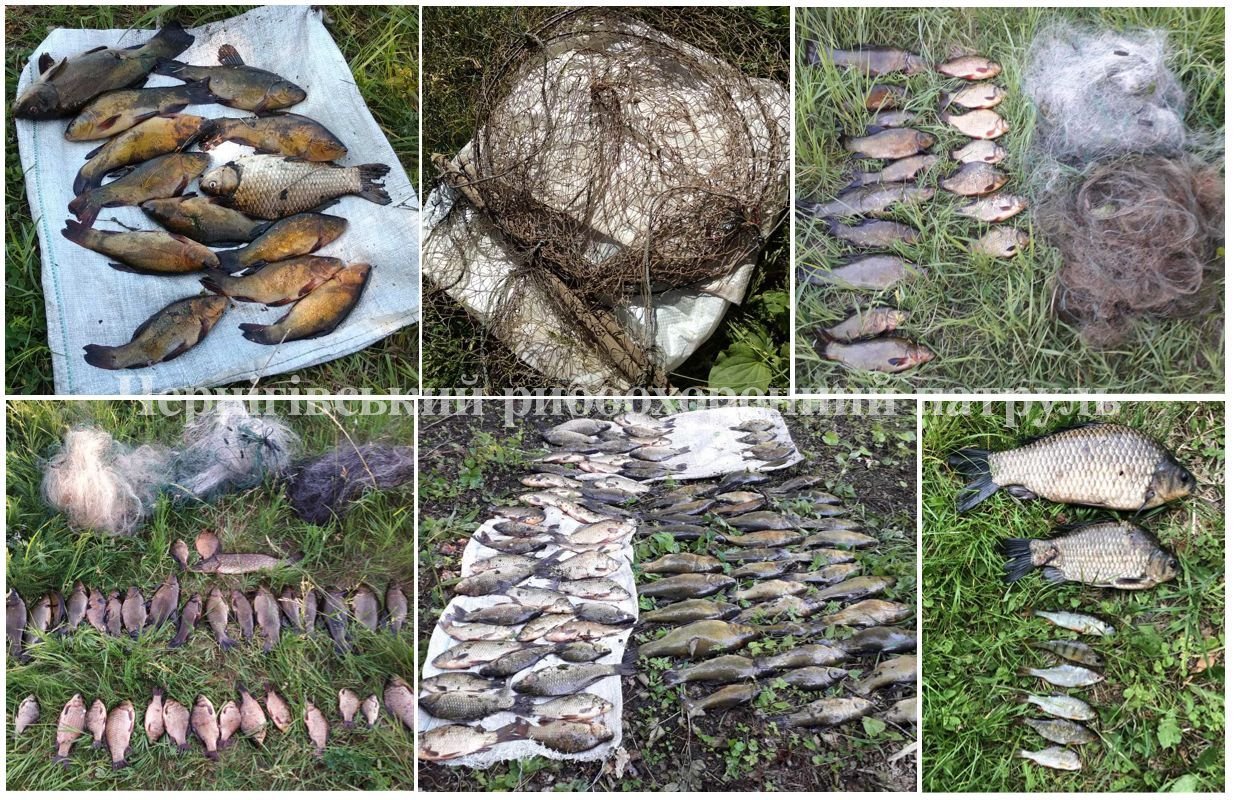 Чернігівським рибоохоронним патрулем за тиждень викрито 61 порушення